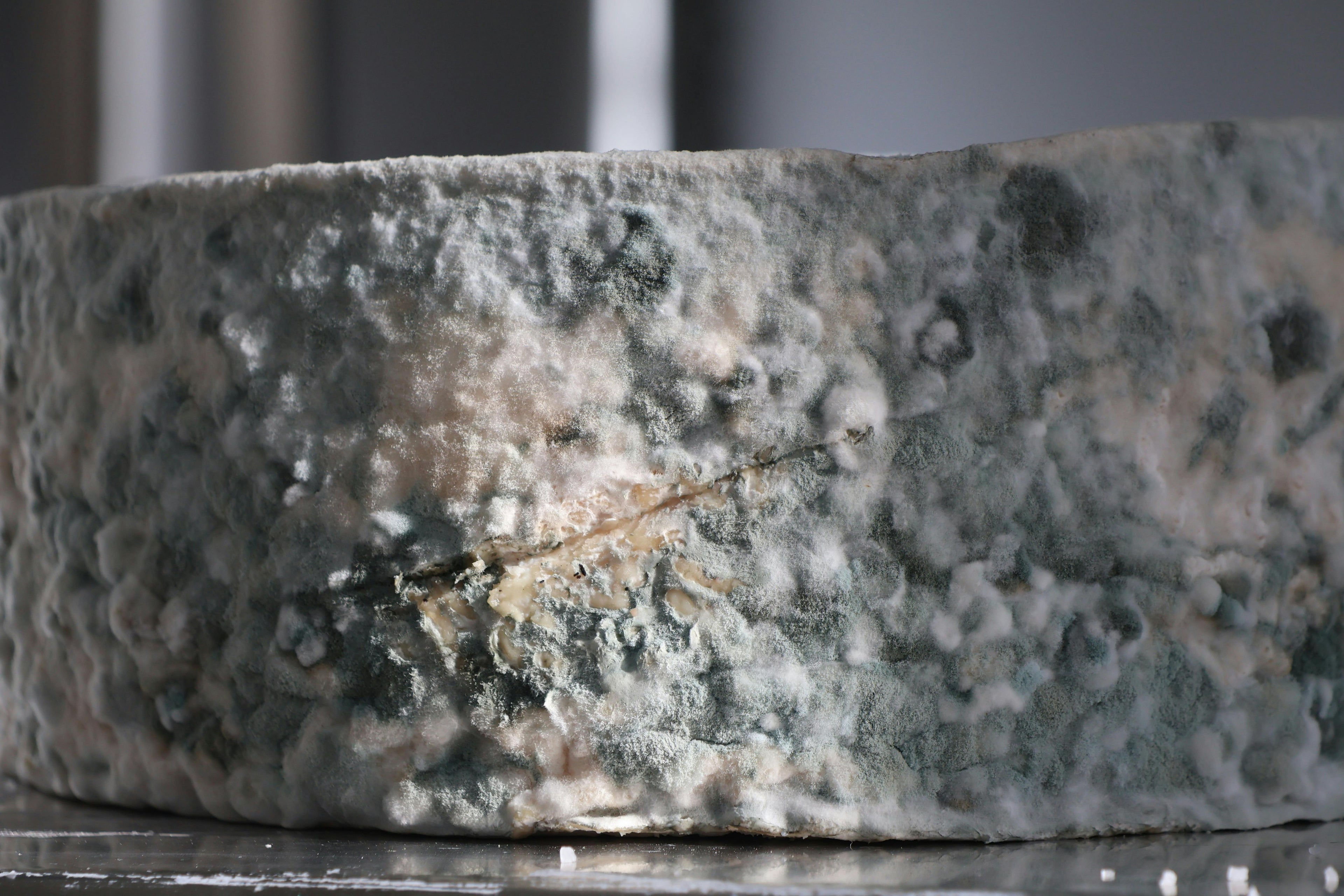 Blue Cheese